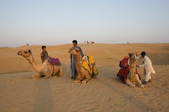 Rajasthan SAM desert 2010-11-028