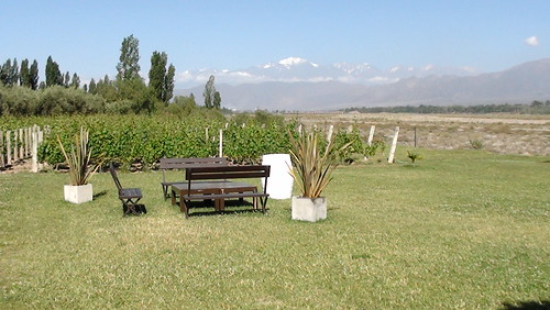 [Mendoza] Vista para os vinhedos