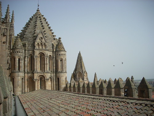 Catedral vella de Salamanca