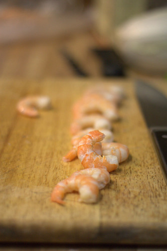 shrimp!