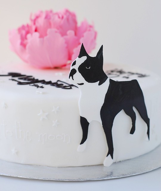 Margaret's Birthday cake - big dog