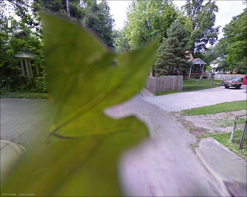 leafy-streetview