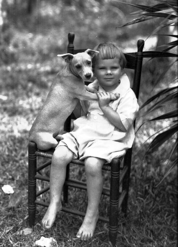 Child and dog