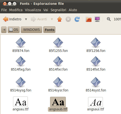 Figura 3 - Directory font di Windows.