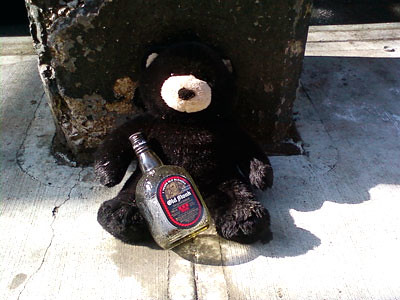 bear-with-booze