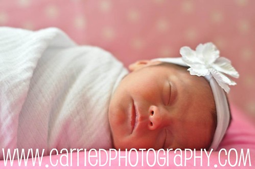 Sleeping Newborn Photograph