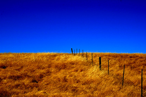 Golden Hills Saturated