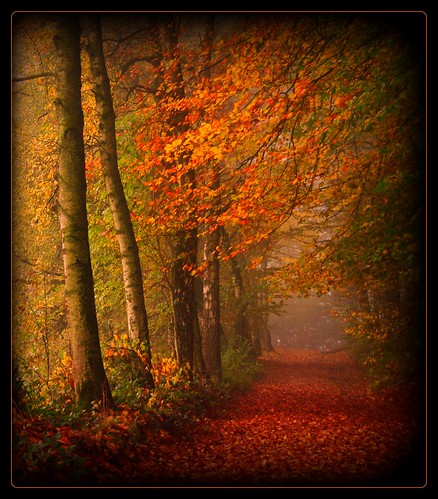 bei Hunstig - walking in autumn