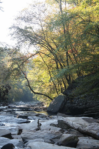 Sope Creek in the morning