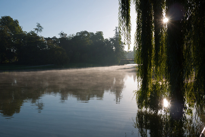 Fog Lake in Bois de Vincennes 文森森林公園起霧的湖