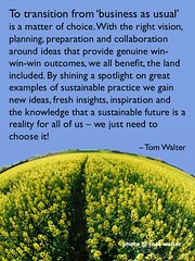 The bright light of sustainable practice