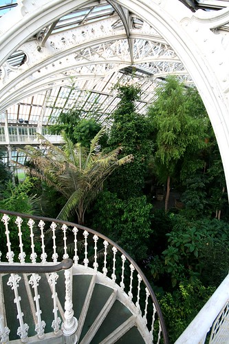 The Temperate House, Kew Gardens