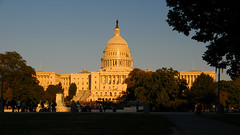 Capitol under golden light