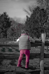 Pink Pants on a Wood Fence