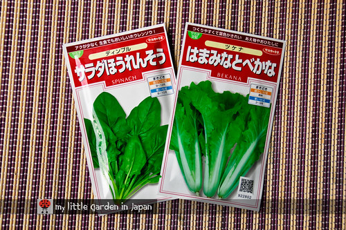 more-winter-vegetables-to-sow-2