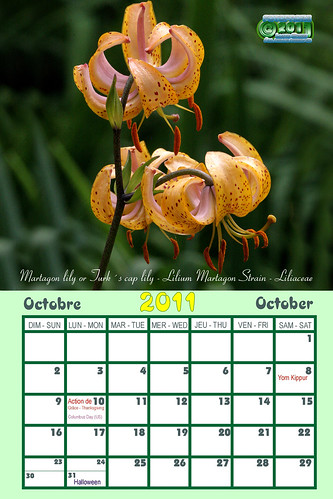 october 2011 calendar printable. 2011 calendar - Flora 10