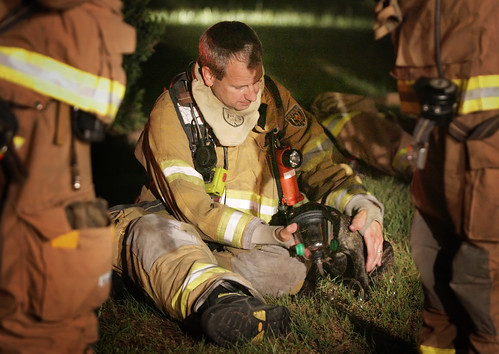 Firefighter saves puppy