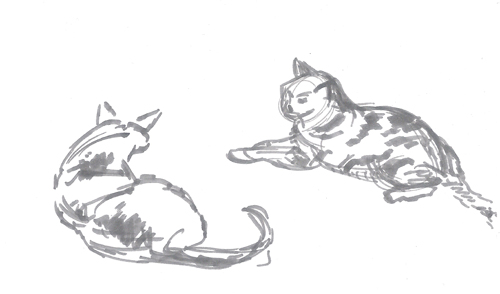 cat-like_shapes_in-conversation