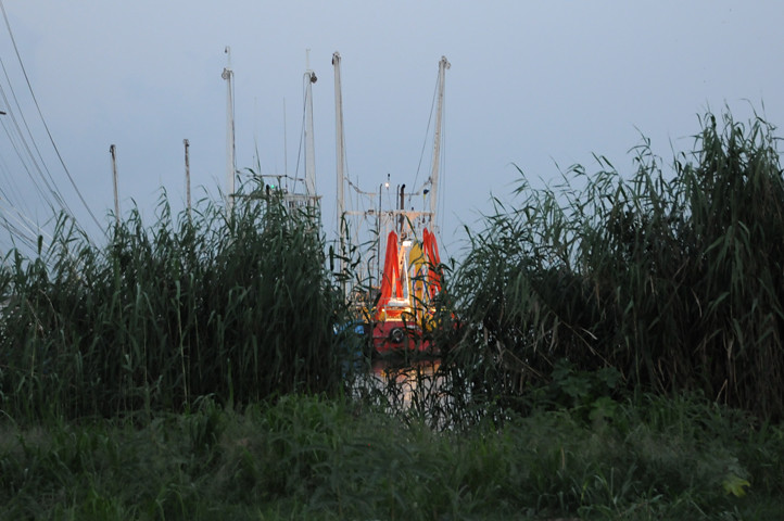 boat with boom through reeds_2091 web