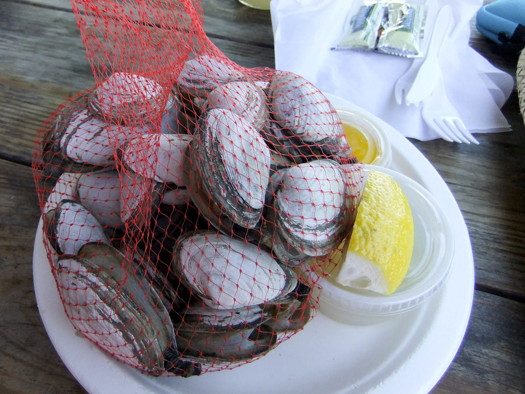 Steamed Clams, the Net Result