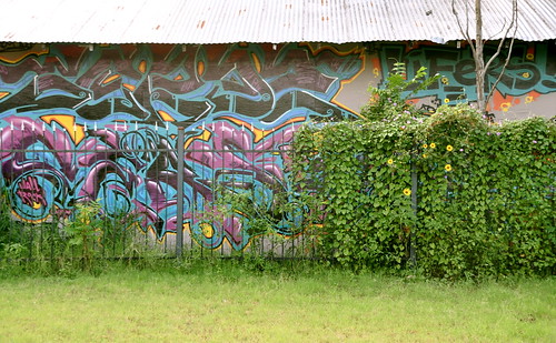 green grass graffiti