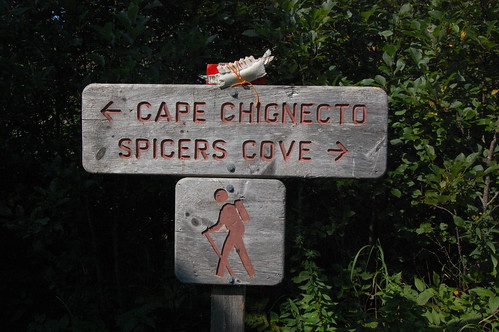 Cape Chignecto (252)