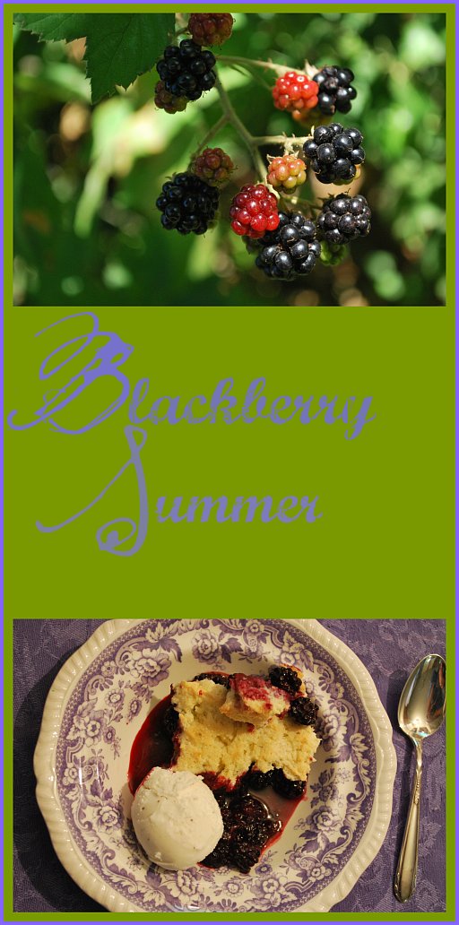 Blackberry Summer