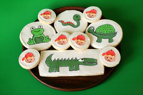Reptile Cookies for Cole.