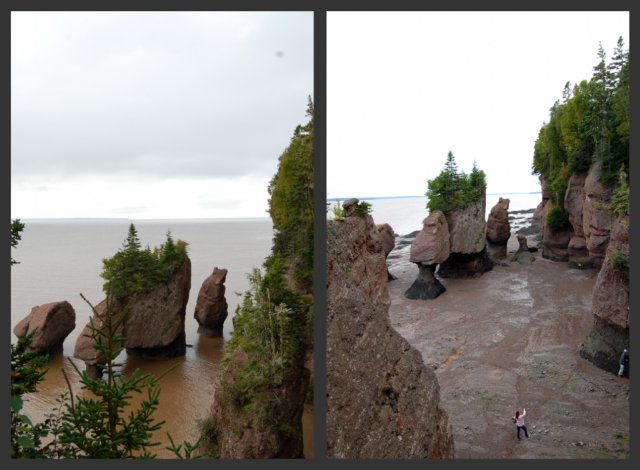 Hopewell Rocks 1 collage