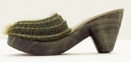 кактусовые туфли