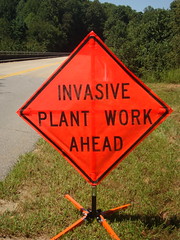 invasive plant sign
