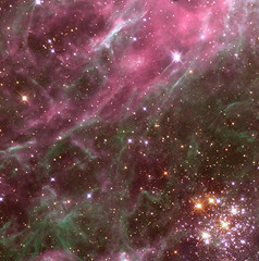 Stars in the Tarantula Nebula (NASA, Hubble, Aura, 04/01/99)