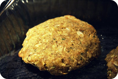 baked seed burger
