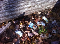  Trash on Andrews Cove Trail 
