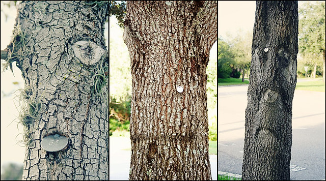 tree faces 3