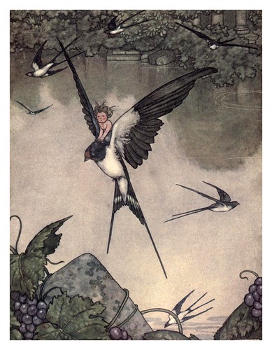 010-Tommelise-Hans Andersen's fairy tales (1913)- William Heath Robinson