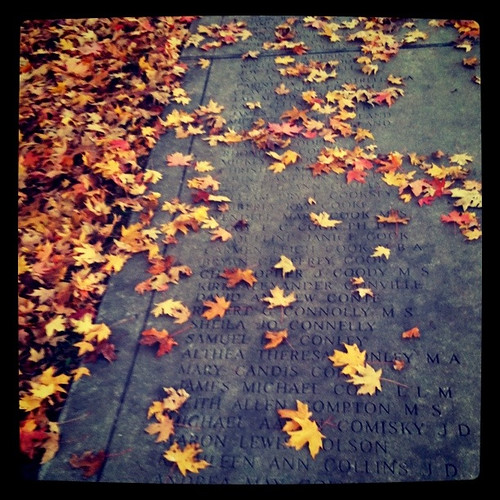 Fall Lovely