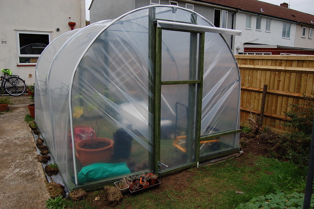 The back of the polytunnel