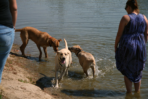 Playing in the lake at Riverwalk.