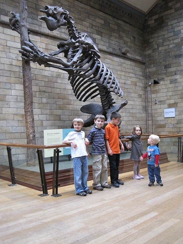 The Natural History Museum and the Big Guy