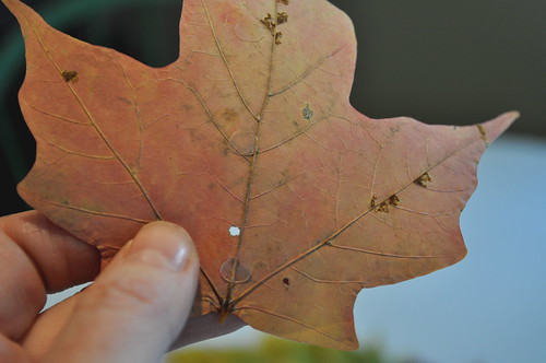 Leaf Wreath - glue dots on leaf