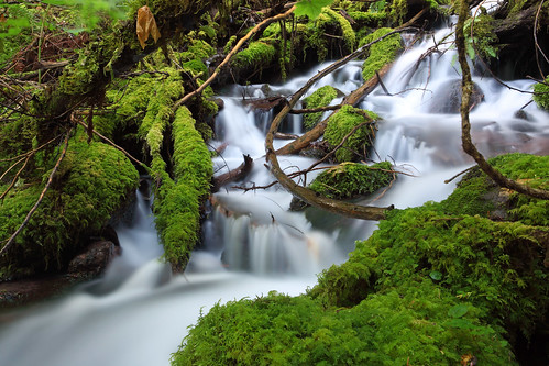 フリー写真素材|自然・風景|滝|アメリカ合衆国|オレゴン州|