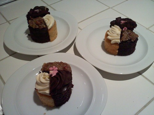 Birthday cupcake sampling