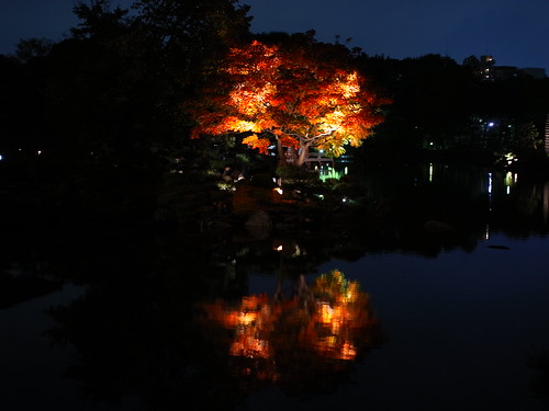 Kiyosumi Gardens Autumn Light Up 01