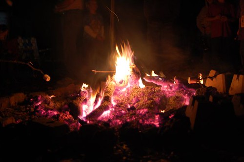 roasted mallows over the fire