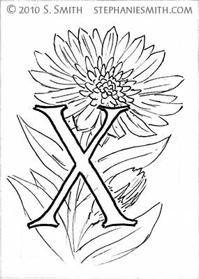 X is for Xeranthemum