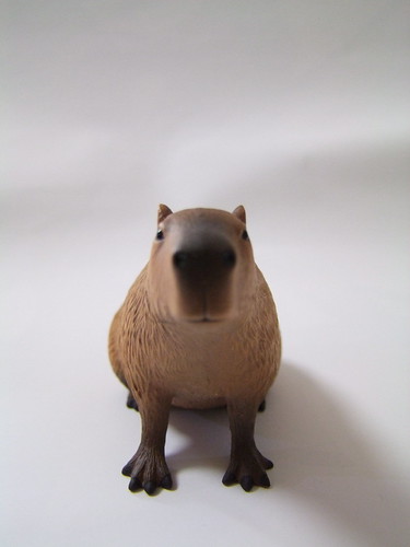 ドキドキどうぶつシリーズ カピバラ（座り）/Dokidoki Animal Series Capybara