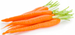 carrots-2