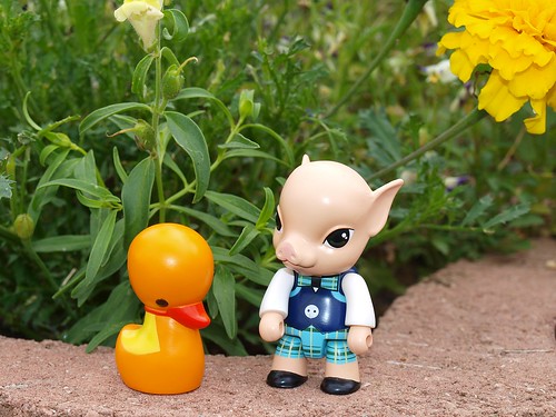 Billy and Ducky