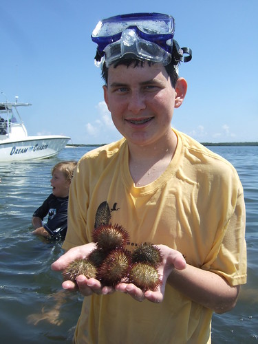 Josh with a handful of urchins
